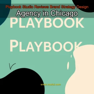 Artistic representation for Playbook Studio Reviews Brand Strategy Design Agency in Chicago